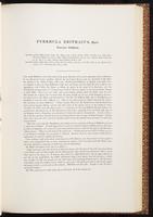 Birds of Asia, 1:164