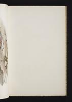 Monograph of the Odontophorinae, 1:44