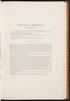 Birds of Asia, 1:108