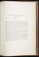 Birds of Asia, 1:260