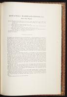 Birds of Asia, 1:252