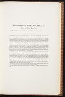 Birds of Asia, 1:136