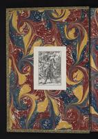 Monograph of the Odontophorinae, 1:1