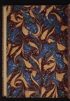 The birds of New Guinea, 1:463