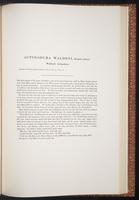 Birds of Asia, 1:240