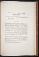 Birds of Asia, 1:236