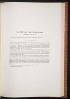 Birds of Asia, 1:208