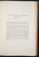 Birds of Asia, 1:116