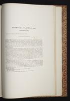 The birds of New Guinea, 1:440