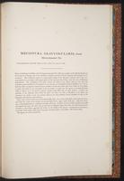 Birds of Asia, 1:284