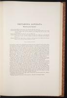 Birds of Asia, 1:116