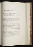 The birds of New Guinea, 1:416