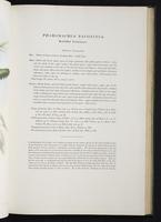 Monograph of the Trogonidae, 2:52