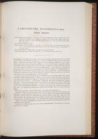 Birds of Asia, 1:216