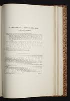 The birds of New Guinea, 1:386