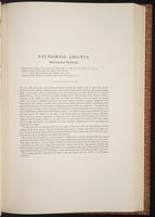 Birds of Asia, 1:176