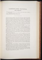 Birds of Asia, 1:156