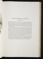 Monograph of the Trogonidae, 2:48