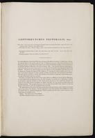 Birds of Australia, 1:38