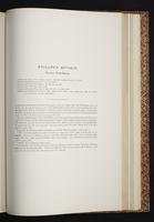 The birds of New Guinea, 1:362