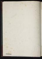 Tinnunculus cencroides