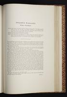 The birds of New Guinea, 1:338