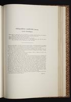 The birds of New Guinea, 1:332