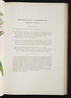Monograph of the Trogonidae, 2:44