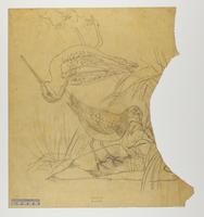 Gallinago scolopacinus