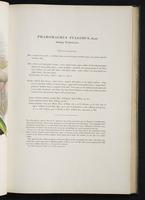 Monograph of the Trogonidae, 2:40