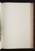 The birds of New Guinea, 1:270