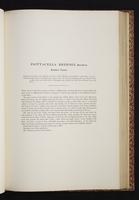 The birds of New Guinea, 1:242