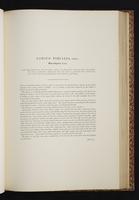 The birds of New Guinea, 1:230