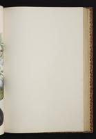 The birds of New Guinea, 1:204