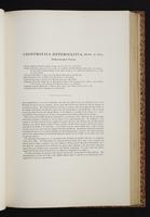 The birds of New Guinea, 1:176