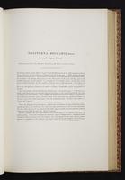 The birds of New Guinea, 1:158