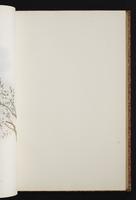 The birds of New Guinea, 1:144