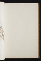 The birds of New Guinea, 1:138