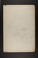 Petrocincla saxatilis