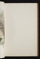 The birds of New Guinea, 1:126