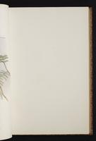 The birds of New Guinea, 1:120