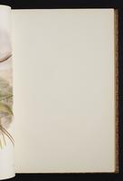 The birds of New Guinea, 1:96