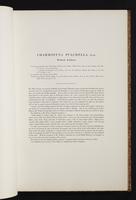 The birds of New Guinea, 1:86