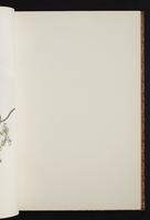 The birds of New Guinea, 1:84