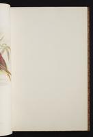 The birds of New Guinea, 1:78