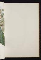 The birds of New Guinea, 1:66