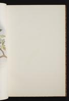 The birds of New Guinea, 1:54