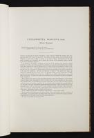 The birds of New Guinea, 1:50