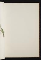 The birds of New Guinea, 1:48