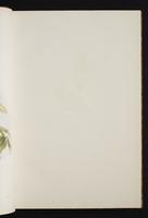 The birds of New Guinea, 1:30